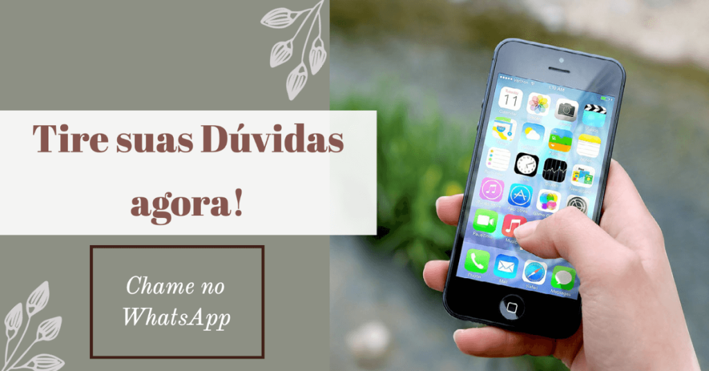 Mensagem no whatsapp +5511942803855