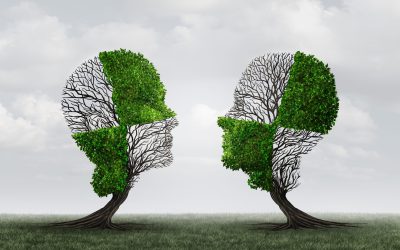 CCM – Confira a melhor forma de se comunicar com seus clientes